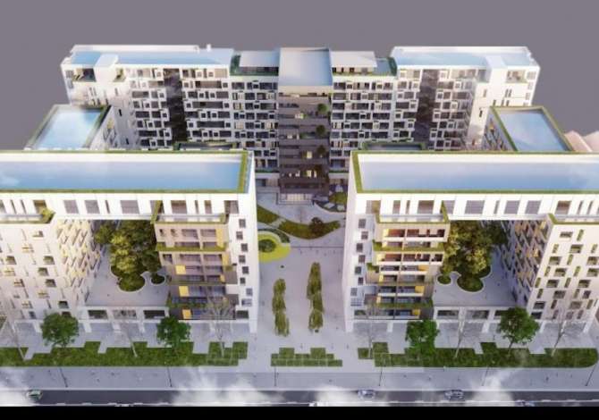 MLS Real Estate